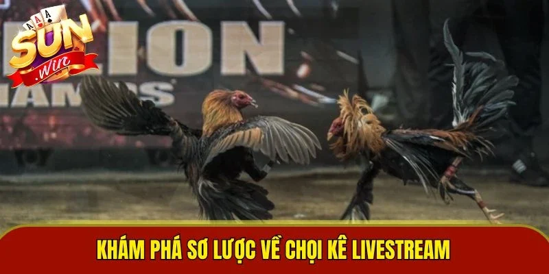 Khám phá sơ lược về chọi kê livestream