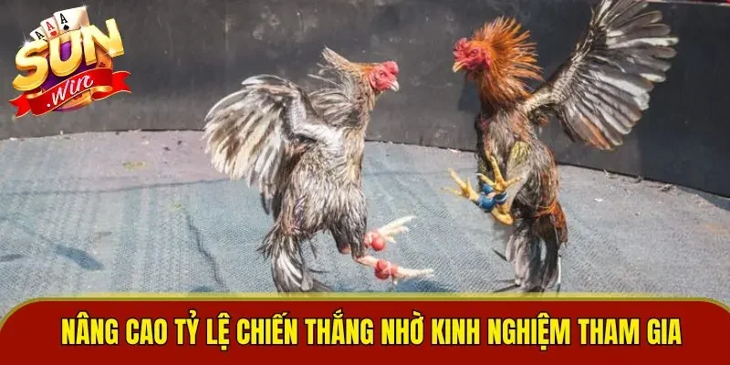 Nâng cao tỷ lệ chiến thắng nhờ kinh nghiệm tham gia