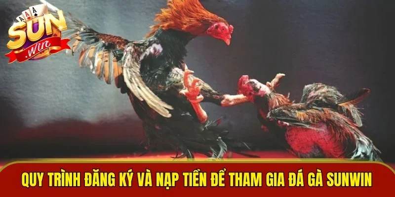 Quy trình đăng ký và nạp tiền để tham gia Đá gà Sunwin
