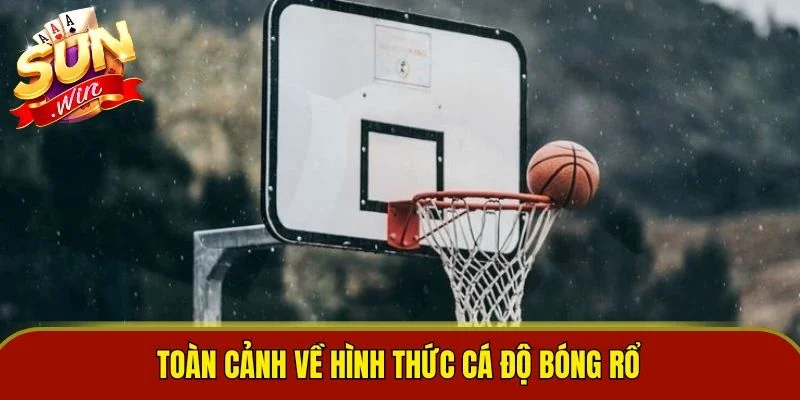 Toàn cảnh về hình thức cá độ bóng rổ